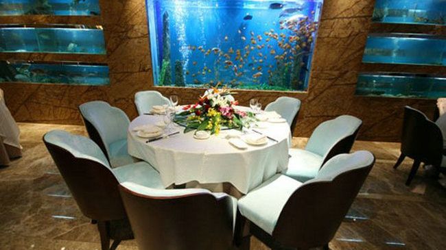 Four Seasons Rayli Hotel 닝보 레스토랑 사진
